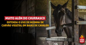 Muito além do churrasco: entenda o uso de moinha de carvão vegetal em baias de cavalos