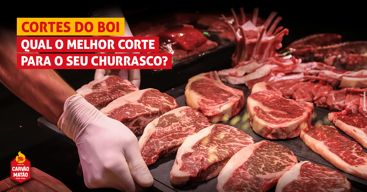 Cortes do boi: Qual o melhor corte para o seu churrasco?