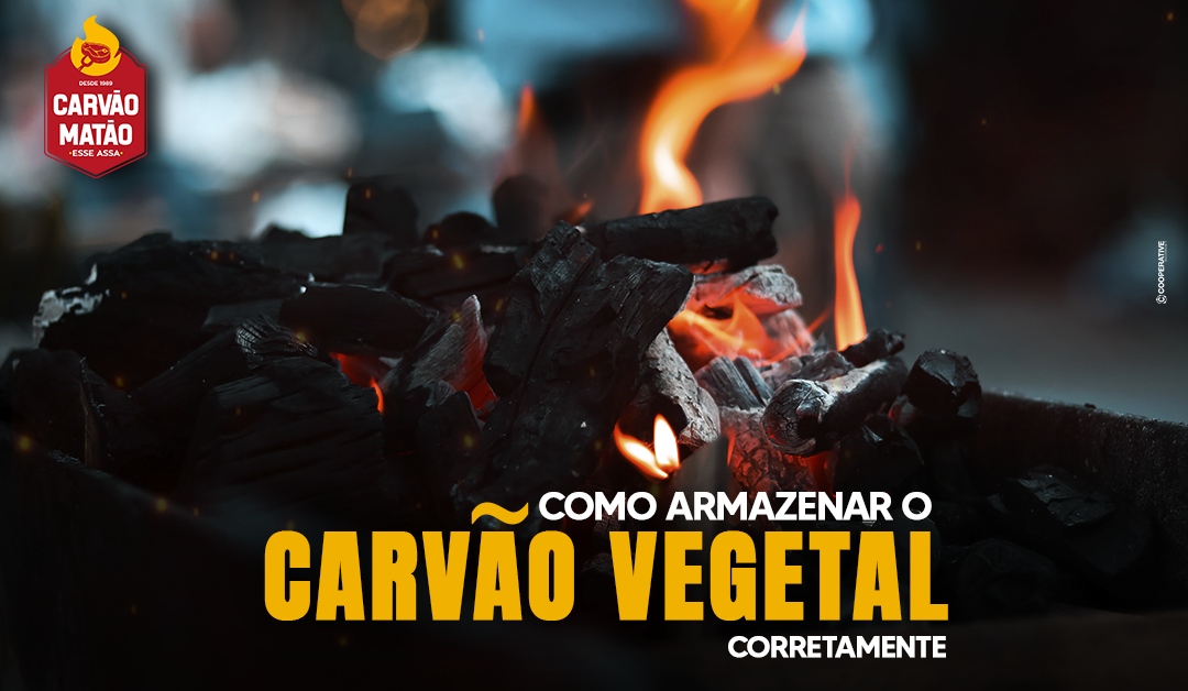 Como armazenar o carvão vegetal corretamente